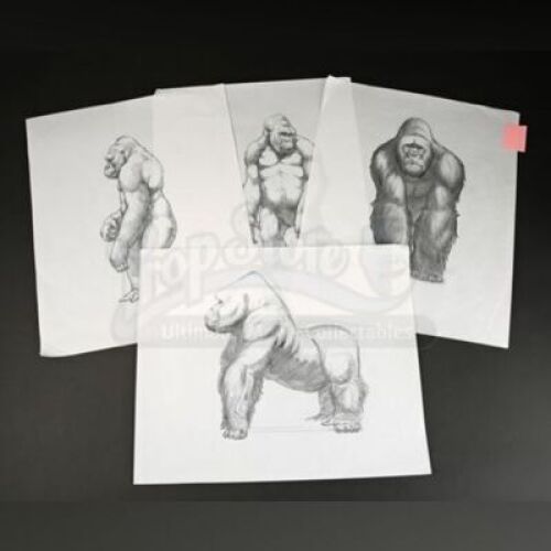 MIGHTY JOE YOUNG (1998) - Collection of Hand-Drawn Joe Artwork