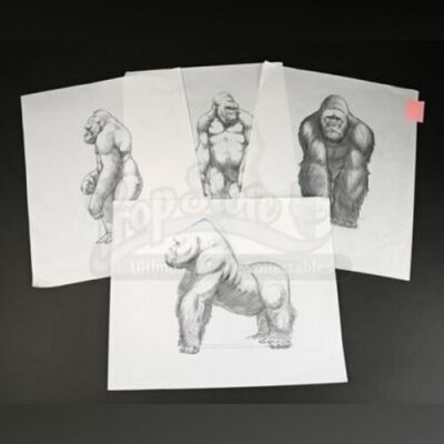 MIGHTY JOE YOUNG (1998) - Collection of Hand-Drawn Joe Artwork