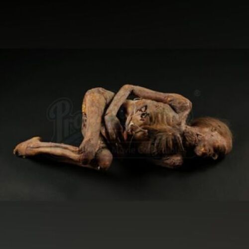 UNKNOWN PRODUCTION - Fetal Position Corpse
