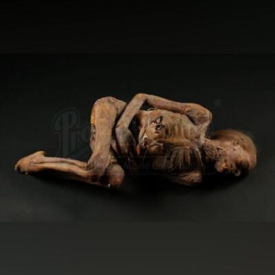 UNKNOWN PRODUCTION - Fetal Position Corpse