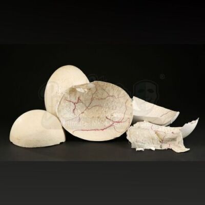 REX (1992) - Lot of Cracked Dinosaur Egg Halves