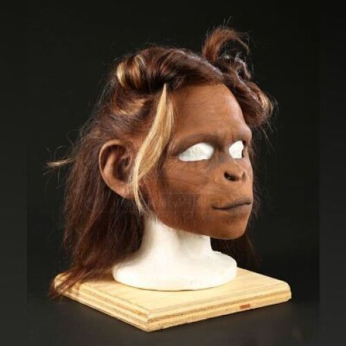 PLANET OF THE APES (2001) - Female Chimp Mask