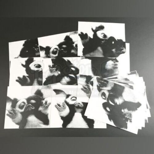GREMLINS 2: THE NEW BATCH (1990) - Storyboard Folder, Script And Gizmo Photos