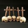 CINOVATION - Five Skull and Cross Displays