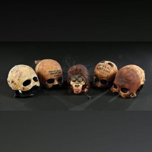 GREYSTOKE: THE LEGEND OF TARZAN, LORD OF THE APES (1984) - Mechanical Baby Gorilla Head and Four Underskulls