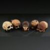 GREYSTOKE: THE LEGEND OF TARZAN, LORD OF THE APES (1984) - Mechanical Baby Gorilla Head and Four Underskulls