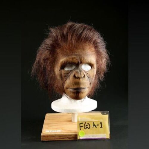 PLANET OF THE APES (2001) - Teen Chimp Mask