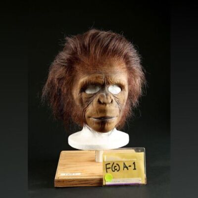 PLANET OF THE APES (2001) - Teen Chimp Mask