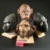 PLANET OF THE APES (2001) - Painted Ape Masks and Thade (Tim Roth) Hair Test
