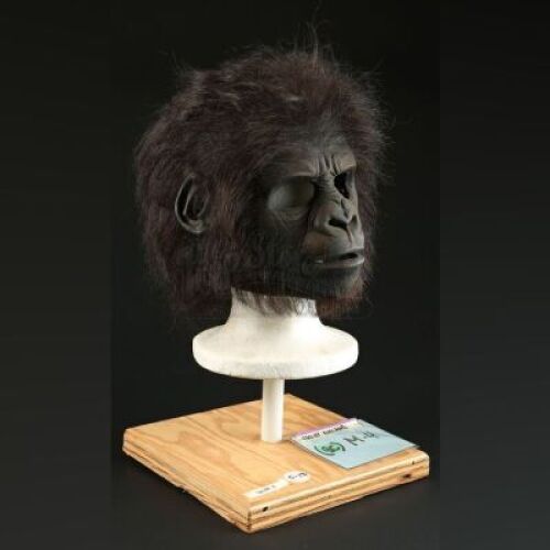 PLANET OF THE APES (2001) - Child Gorilla Mask