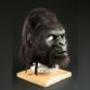 PLANET OF THE APES (2001) - Gorilla Mask