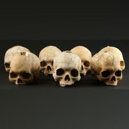 CINOVATION - Cinovation Skulls