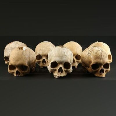 CINOVATION - Cinovation Skulls
