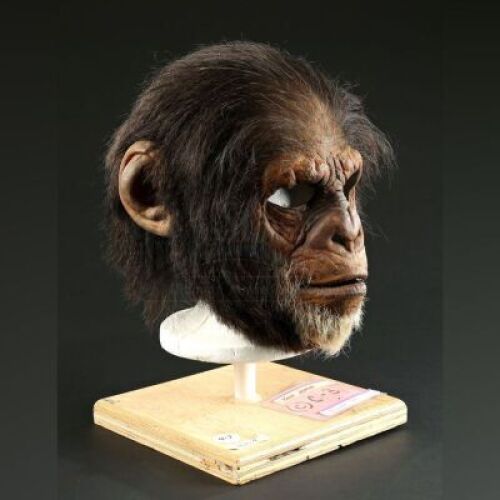 PLANET OF THE APES (2001) - Chimp Mask