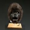 PLANET OF THE APES (2001) - Gorilla Mask