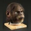 PLANET OF THE APES (2001) - Chimp Mask