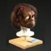 PLANET OF THE APES (2001) - Child Chimp Mask
