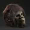 PLANET OF THE APES (2001) - Child Gorilla Mask