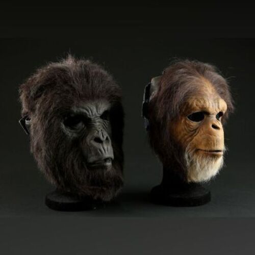 PLANET OF THE APES (2001) - Chimp and Gorilla Face Masks