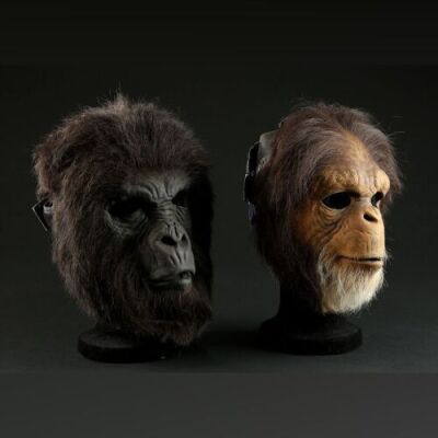 PLANET OF THE APES (2001) - Chimp and Gorilla Face Masks