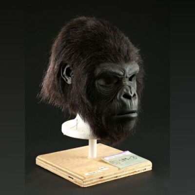 PLANET OF THE APES (2001) - Gorilla Mask