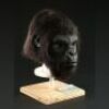 PLANET OF THE APES (2001) - Gorilla Mask
