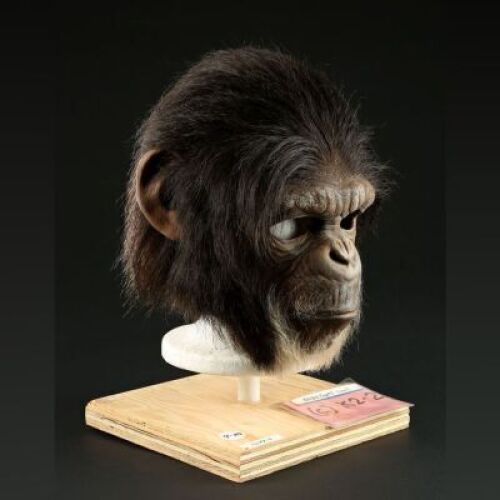 PLANET OF THE APES (2001) - Chimp Mask