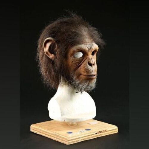 PLANET OF THE APES (2001) - Child Chimp Mask