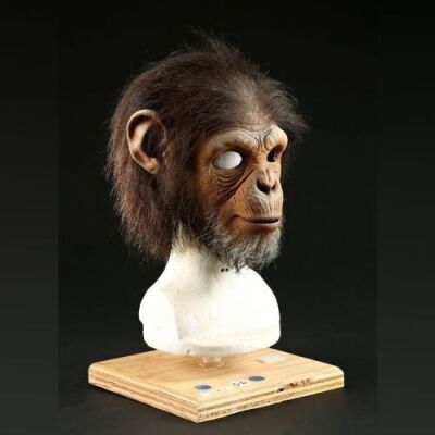 PLANET OF THE APES (2001) - Child Chimp Mask