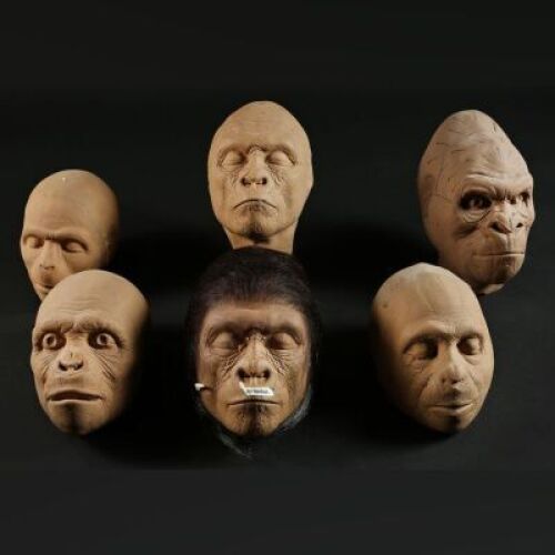 PLANET OF THE APES (2001) - Foam Ape Heads