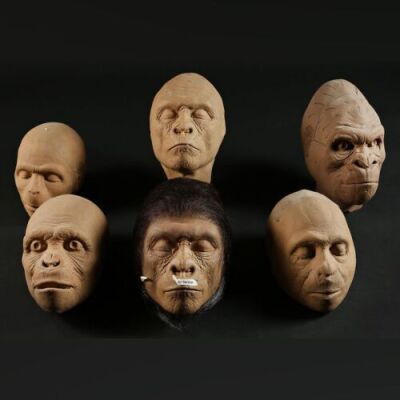 PLANET OF THE APES (2001) - Foam Ape Heads