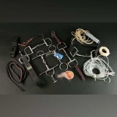 Richard Morgan&Atilde;&cent;&acirc;&sbquo;&not;&acirc;&bdquo;&cent;s (Brian Cox) Mouth Bit Components