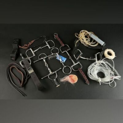 Richard Morgan&Atilde;&cent;&acirc;&sbquo;&not;&acirc;&bdquo;&cent;s (Brian Cox) Mouth Bit Components
