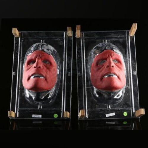 HELLBOY (2004) - Hellboy (Ron Perlman) Appliance Set
