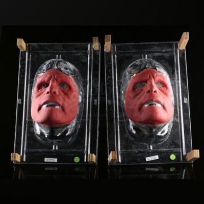 HELLBOY (2004) - Hellboy (Ron Perlman) Appliance Set