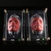 HELLBOY (2004) - Hellboy (Ron Perlman) Appliance Set