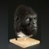 PLANET OF THE APES (2001) - Gorilla Mask