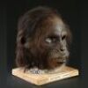 PLANET OF THE APES (2001) - Chimp Mask