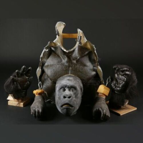 MIGHTY JOE YOUNG (1998) - Joe Chest, Hands, Feet, and Head