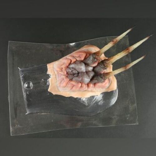 MEN IN BLACK 3 (2012) - Boris The Animal's (Jemaine Clement) Palm Weasel Appliance