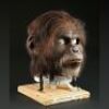 PLANET OF THE APES (2001) - Chimp Mask