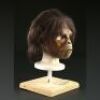 PLANET OF THE APES (2001) - Teen Chimp Mask