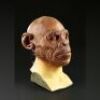 PLANET OF THE APES (2001) - Chimp Paint Test