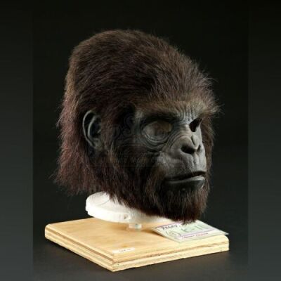 PLANET OF THE APES (2001) - Gorilla Mask