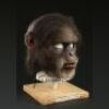 PLANET OF THE APES (2001) - Chimp Mask