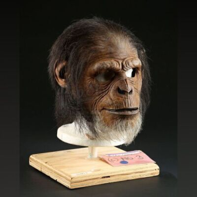 PLANET OF THE APES (2001) - Elder Mask
