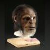 PLANET OF THE APES (2001) - Elder Mask