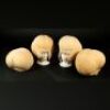MEN IN BLACK 3 (2012) - Four Roman the Fabulist Heads
