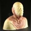 MEN IN BLACK 3 (2012) - Alien Cowl Appliance