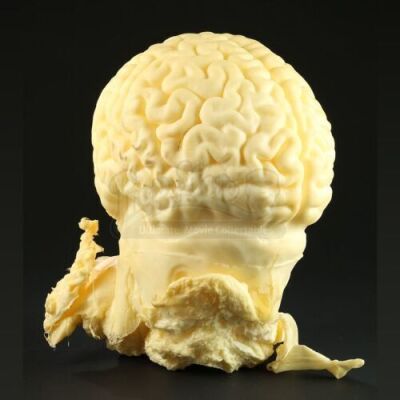 MEN IN BLACK 3 (2012) - Alien Brain Head